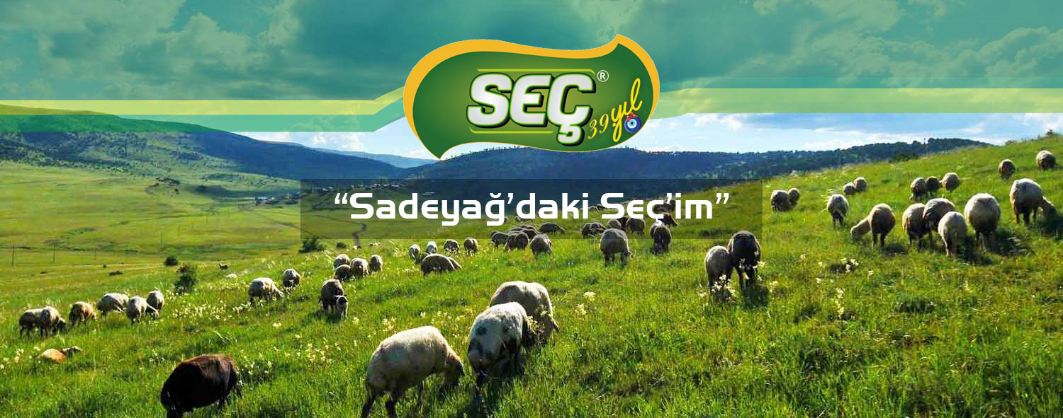 Slide background